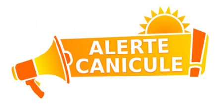 canicule.jpg